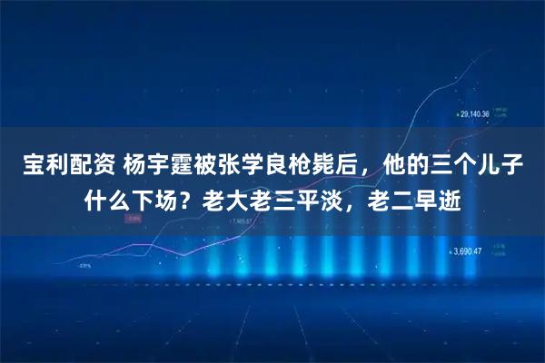 宝利配资 杨宇霆被张学良枪毙后，他的三个儿子什么下场？老大老三平淡，老二早逝