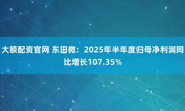 大额配资官网 东田微:2025年半年度归母净利润同比增长107.35%
