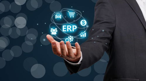 提供ERP系统定制开发解决方案的服务商有哪些
